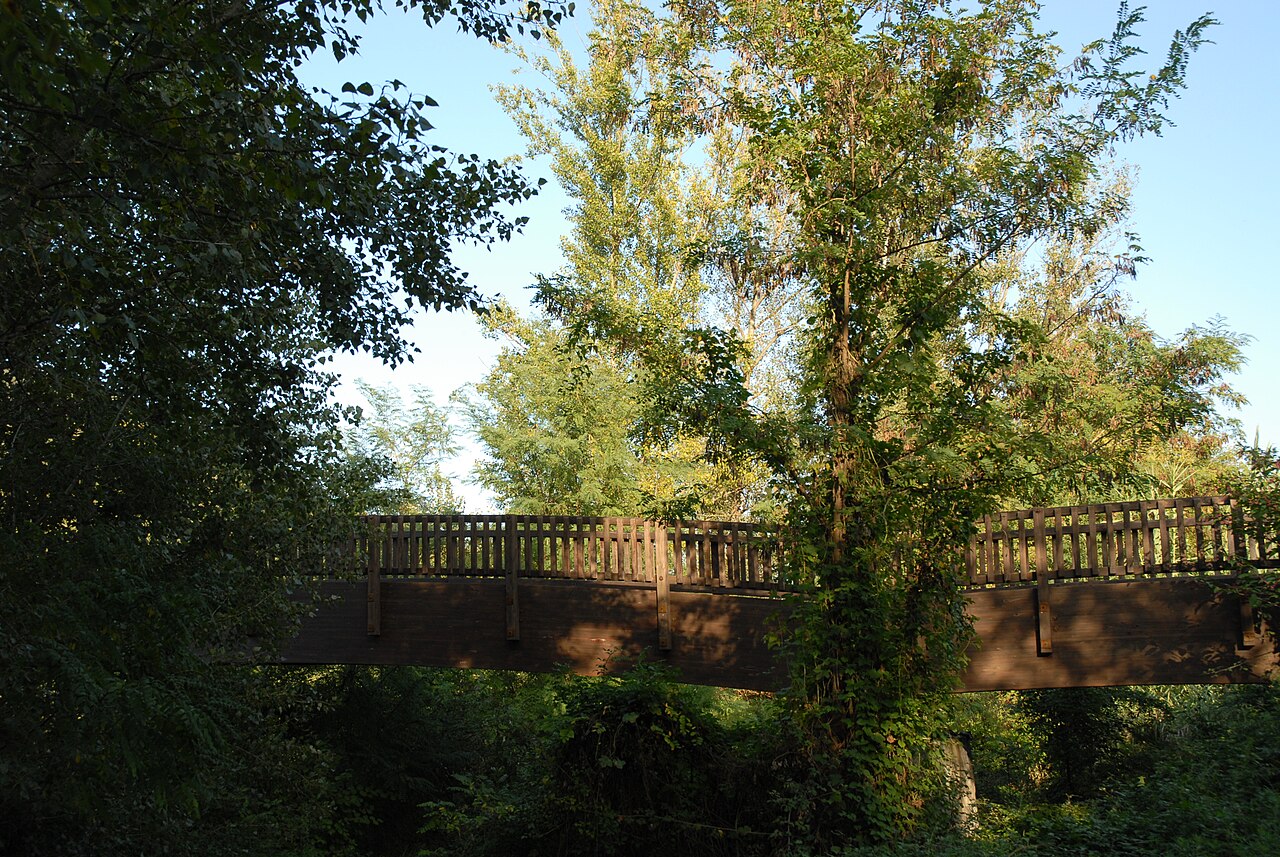 Pasarela de madera sobre el río Fluvià en Castellfollit de la Roca